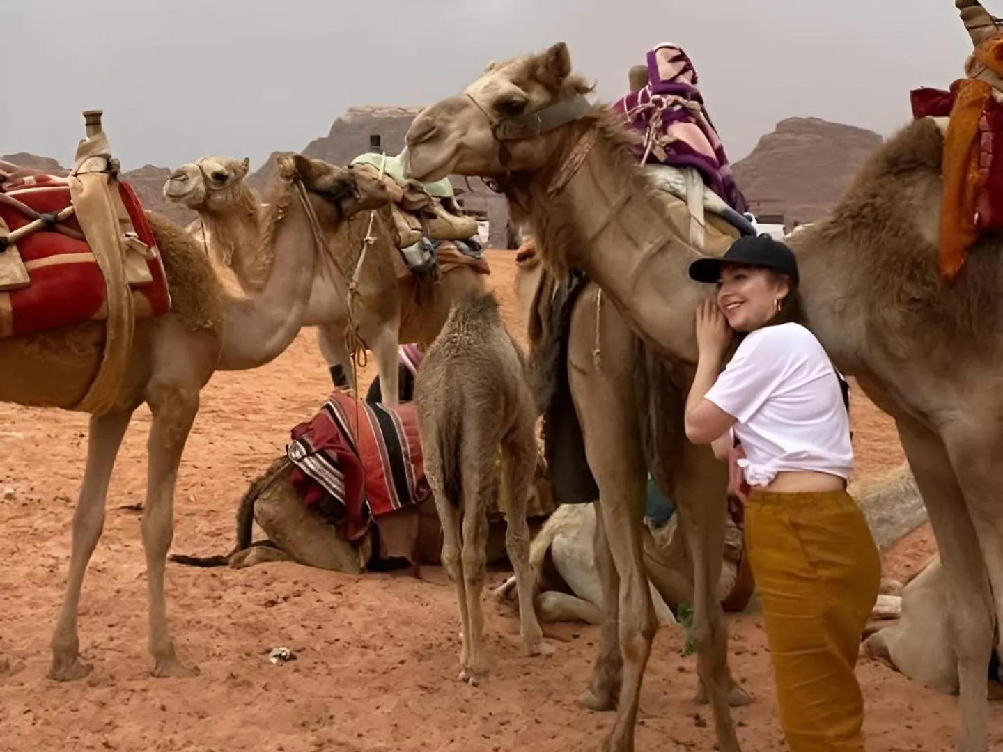 Πανδοχείο Wadi Rum Lona Camp Άκαμπα